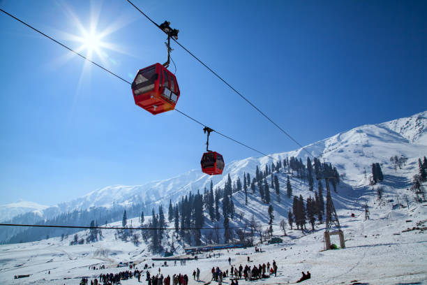 Mountains, Meadows & Memories for a Lifetime